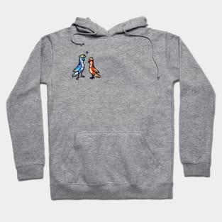 Love Birds Hoodie